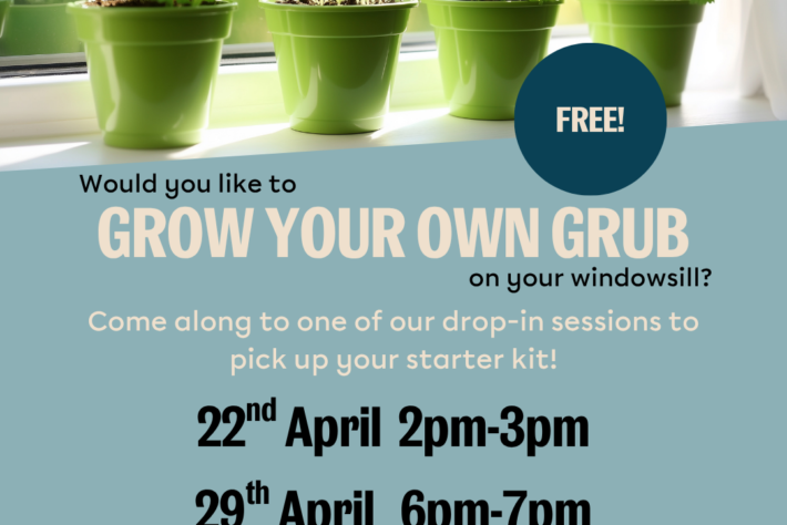 small green plants on a windowsill